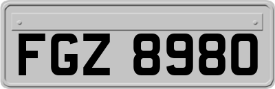 FGZ8980