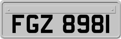 FGZ8981