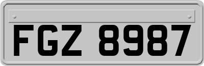 FGZ8987