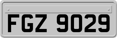 FGZ9029