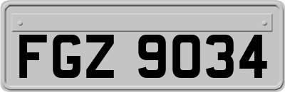 FGZ9034