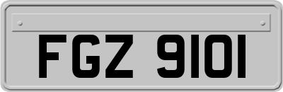FGZ9101