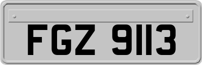 FGZ9113