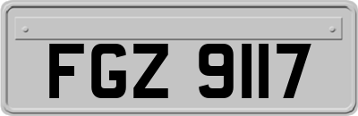 FGZ9117