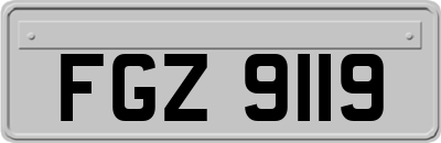 FGZ9119