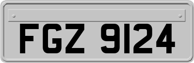 FGZ9124