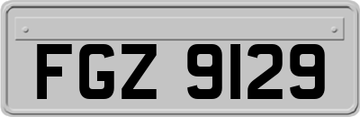 FGZ9129