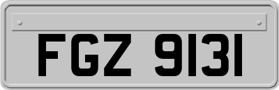 FGZ9131