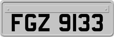 FGZ9133