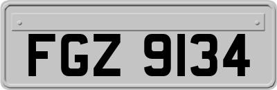 FGZ9134
