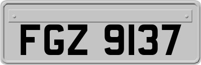 FGZ9137