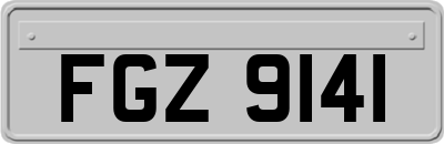 FGZ9141