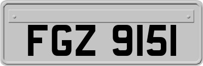 FGZ9151