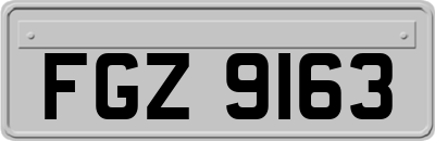 FGZ9163