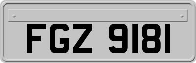 FGZ9181