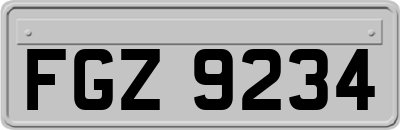 FGZ9234
