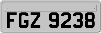 FGZ9238