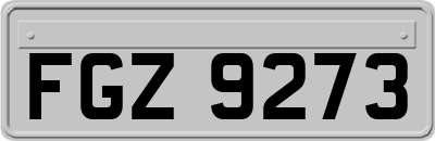 FGZ9273