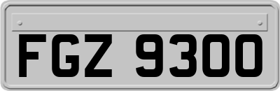 FGZ9300