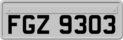 FGZ9303