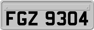 FGZ9304