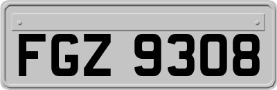 FGZ9308