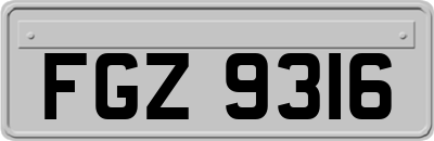 FGZ9316