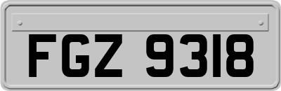 FGZ9318