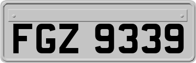 FGZ9339