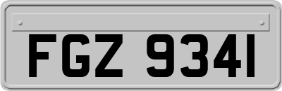 FGZ9341