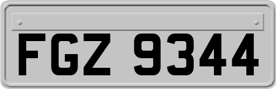 FGZ9344