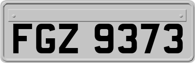 FGZ9373