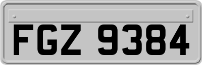 FGZ9384