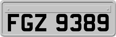 FGZ9389
