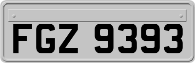 FGZ9393