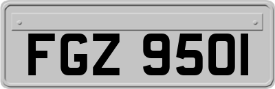 FGZ9501