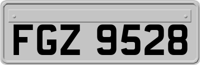 FGZ9528