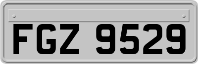 FGZ9529