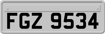 FGZ9534