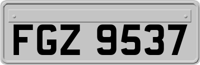 FGZ9537