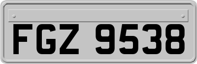FGZ9538