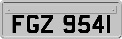 FGZ9541