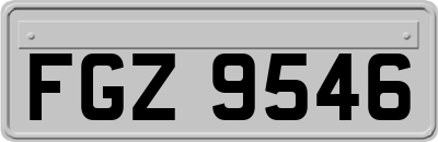 FGZ9546