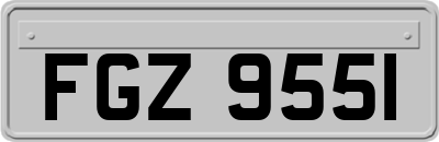 FGZ9551