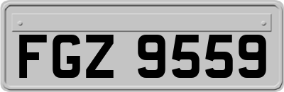 FGZ9559