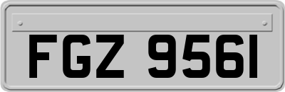 FGZ9561