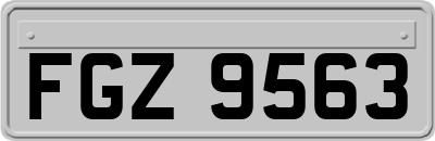 FGZ9563