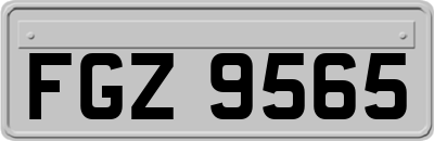 FGZ9565