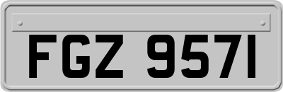 FGZ9571