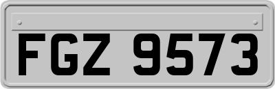 FGZ9573